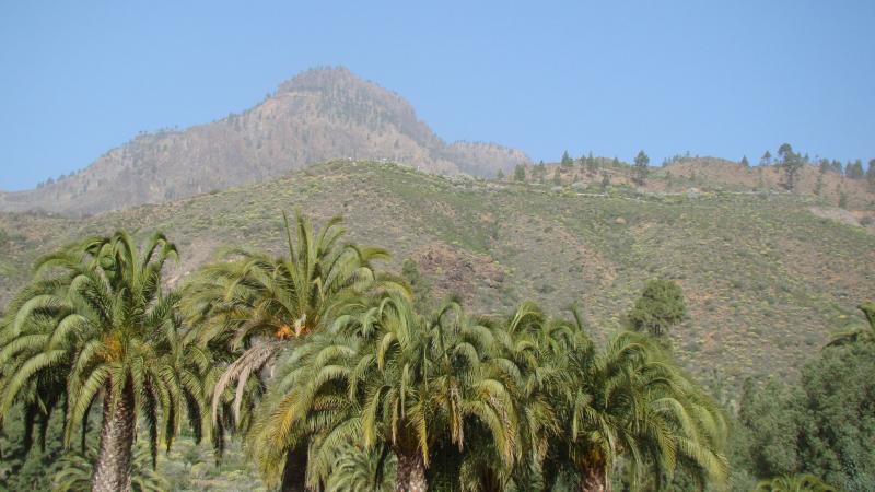 Gran Canaria 096