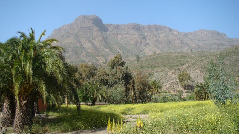 Gran Canaria 104